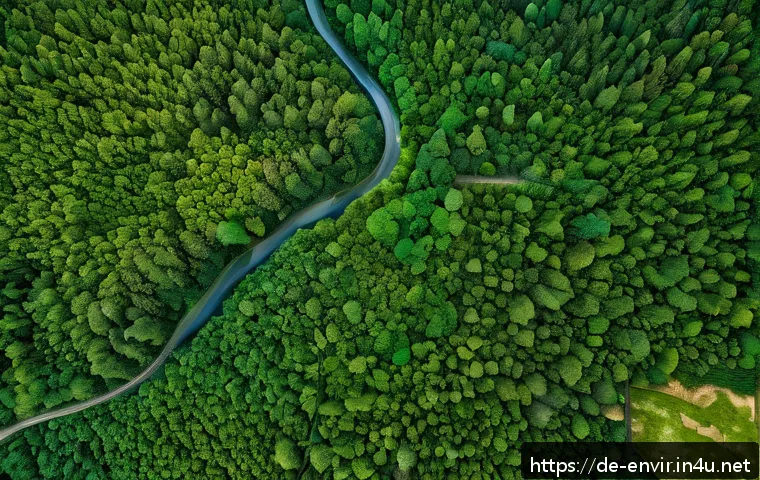 환경 분석 및 예측 방법 - A high-resolution satellite image showcasing a vast German forest landscape under changing seasonal ...